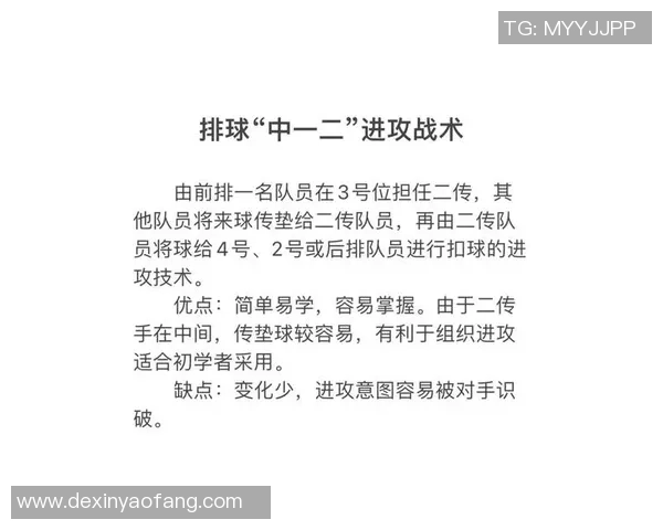 深圳排球队进攻战术解析与实战应用探讨